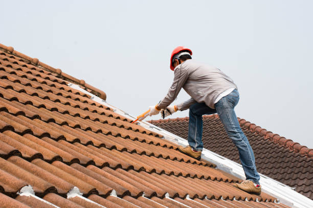 Best Roof Insulation Installation  in Bridgeville, DE